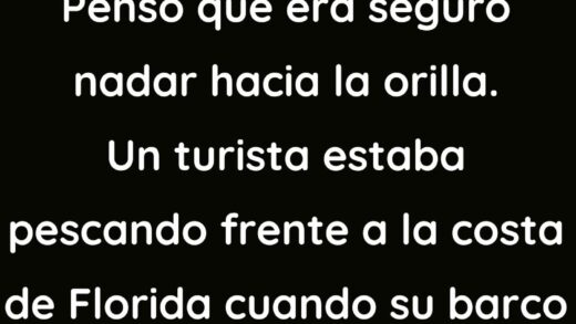 Penso que era seguro nadar hacia la orilla