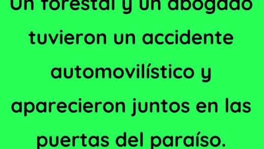 Un forestal y un abogado tuvieron un accidente
