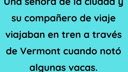 Una dama de ciudad viajando en tren